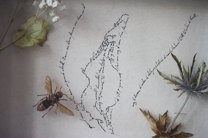 "Marie, vous avez la joue aussi vermeille", Marc Molk, 2014, "entomogramme" (calligramme & insect), 7,1 x 9,6 in