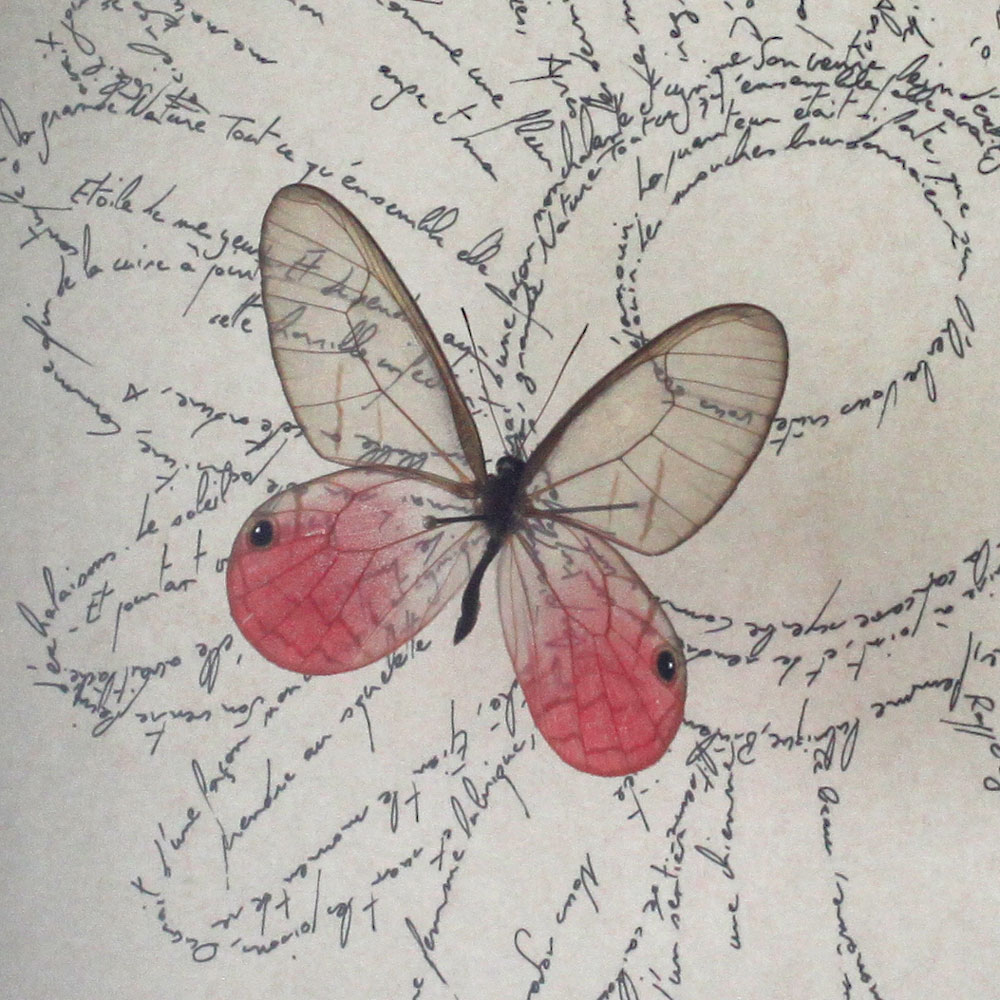La charogne Baudelaire (detail), Marc Molk, 2014, Entomogramme (calligramme fait à l'encre de chine sur vieux papier & insecte), 18,5 x 24,4 cm