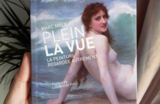 « Plein la vue (la peinture regardée autrement) », éditions Wildproject