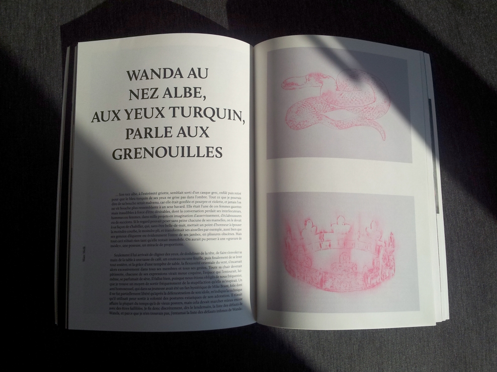 « Wanda au nez albe, aux yeux turquin, parle aux grenouilles », Revue Edwarda, n°11, mai 2014