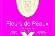 Fleurs de Peaux (La Collection de Mrs. & Mr. X) / Galerie Meyer, Paris
